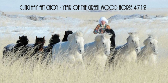 Mongolian Horses